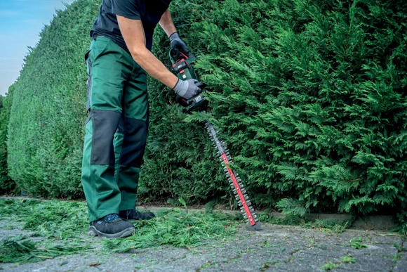 Person schneidet Hecke mit Heckenschere